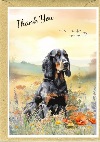 Gordon setter dog - gordon,