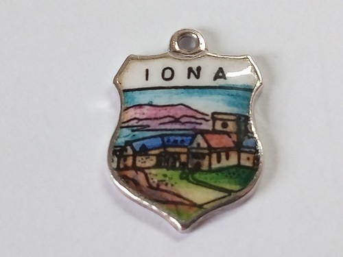 Silver iona travel shield for