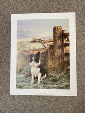 UP NORTH-a VERY RARE Steven