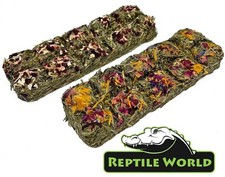 Reptile World Tortoise Treat