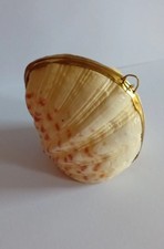 Large Victorian Natural Clam