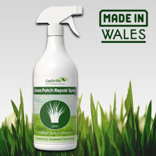 Green grass paint dye - grass,