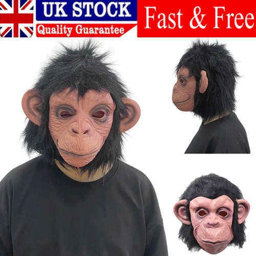 Costume gorilla monkey animal - monkey,