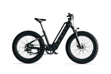 Cyrusher  All-Terrain Electric
