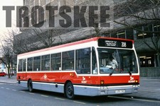 35mm Slide Selkent Dennis