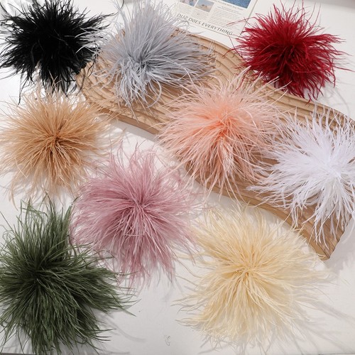 Fluffy ostrich feather - ostrich,