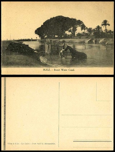 Egypt old postcard suez sweet - egypt,