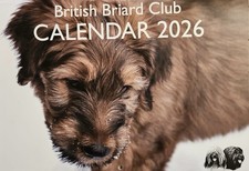 British Briard Club 2026