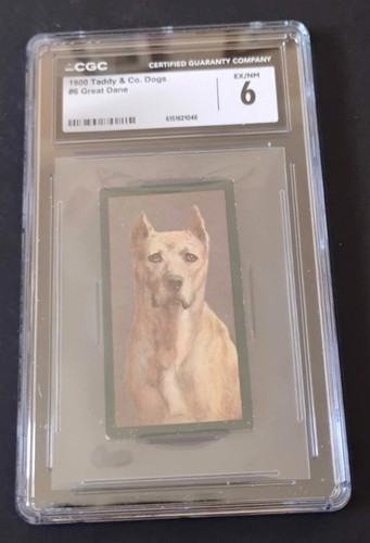 1900 taddy dogs - taddy, #6