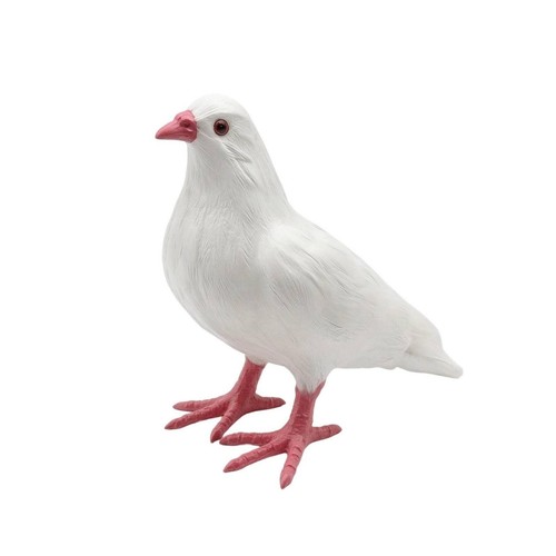 Pigeon model with feathers - model,