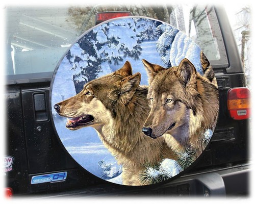 Spare wheel cover - cover, mercedes