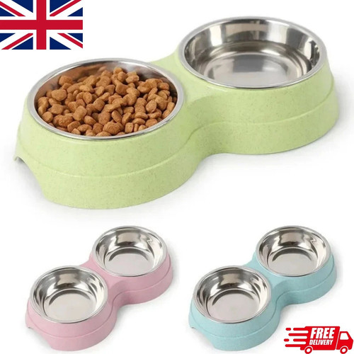 Dog bowl cat - bowl,