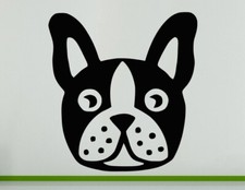 Boston Terrier Dog Pet Animal