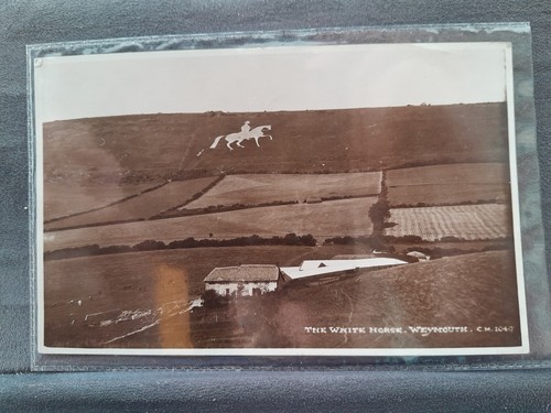 Weymouth white horse - horse, 29960