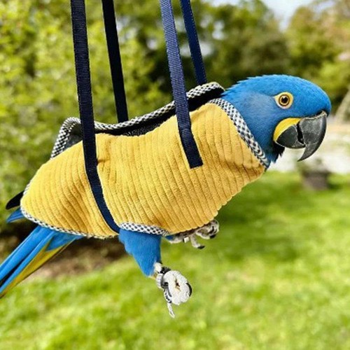 2026 portable bird carrier - bird,