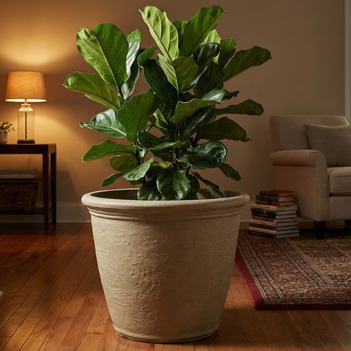 Anjelica large plastic - anjelica, 20''