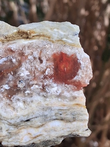 Agatized marble thick slab red - agatized,