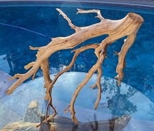 Large Driftwood Manzanita