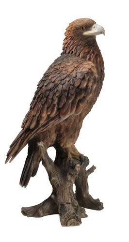 Golden eagle lifelike - eagle,