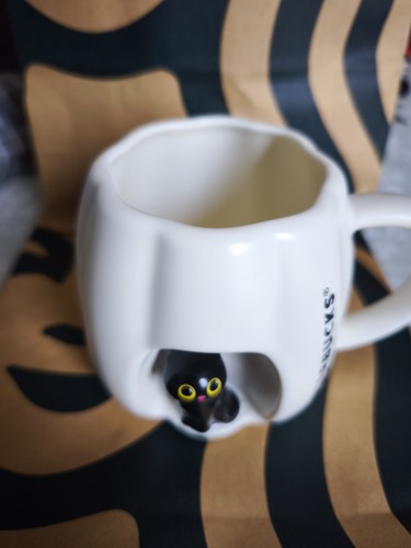Starbucks peep black cat