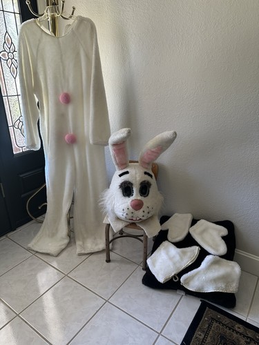 Vintage rabbit costume bunny - vintage,