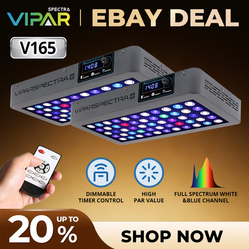 Viparspectra timer control - viparspectra,
