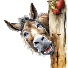 8x Sticker Donkey Car Sticker