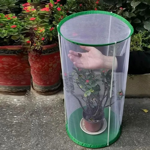 60cm butterfly habitat cage - 60cm,