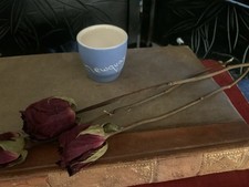 Vintage  Newquay Eggcup 4.5 cm