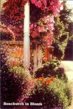 Bonchurch in Bloom - Posted 1997 - Bonchurch Trading Company