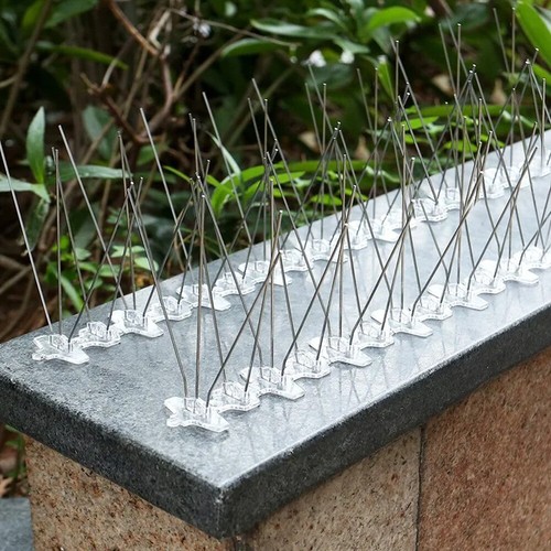 10pcs bird spikes - bird, fences