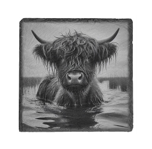 Slate coasters engraved - engraved,