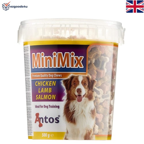 Mini mix puppy - training, treats