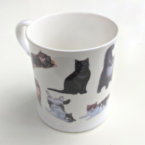 New cat breeds - breeds, sharon