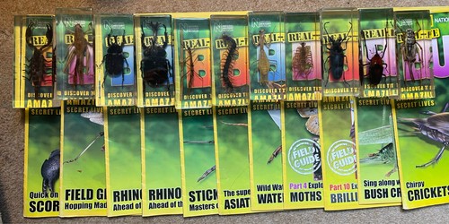 Giant acrylic bugs perfectly - acrylic,