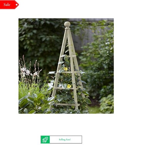 Garden obelisk outdoor arch - obelisk,