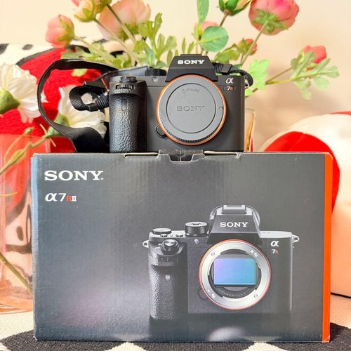 Sony rx1r compact digital - sony,