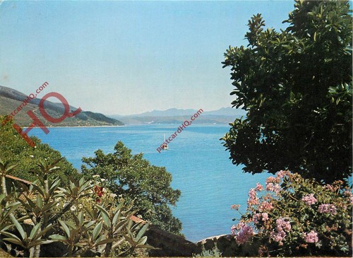 Picture postcard knysna - postcard_,