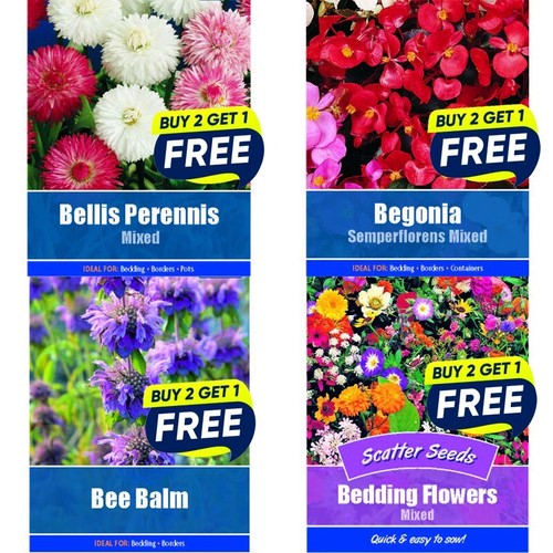 Flower seeds plants borders - flower,