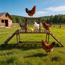 Wooden Chick Perch Stand Pine