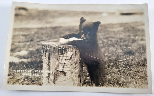 Vtg 1925 lincoln rppc topsy - vtg,