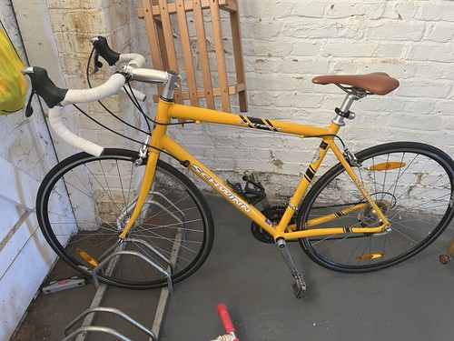 Schwinn fastback series - series, iv