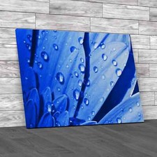 Floral Flower Leaves Blue Canvas Print Large Picture Wall Art