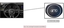 DRIVER WHEEL AIR BAG ONLY OEM