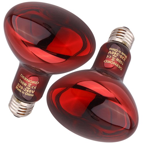 Reptile red light lamp bulb - reptile,