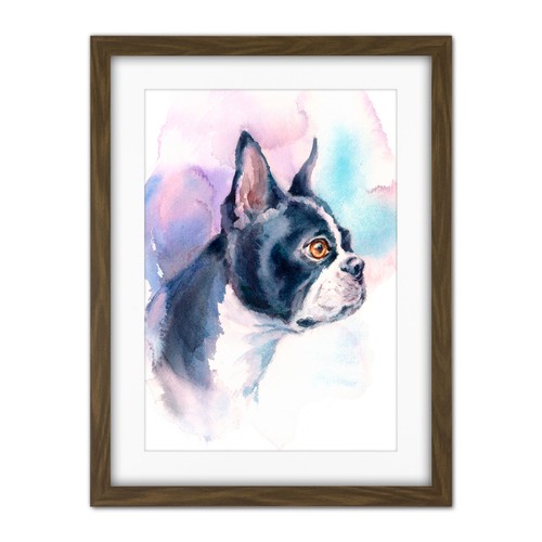 Dog boston terrier - dog, watercolour