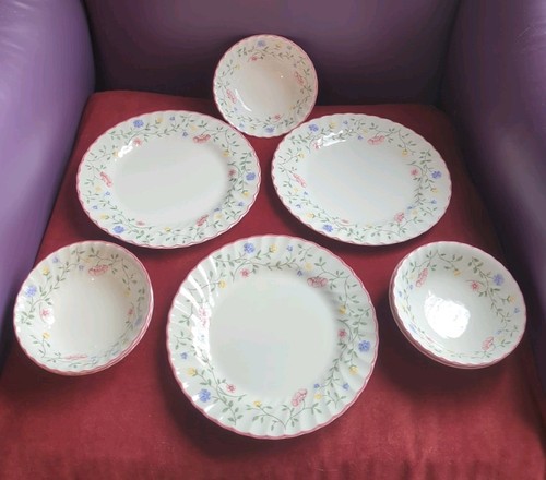 Summer chintz dinner plates - summer,