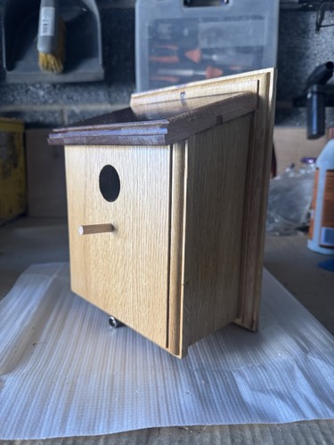 Oak hardwood bird - oak/hardwood, nest