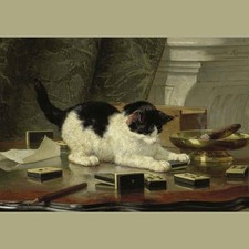 Cat Kitten at Play Henriette Ronner-Knip  Art Greeting Card  FREE SHIPPING