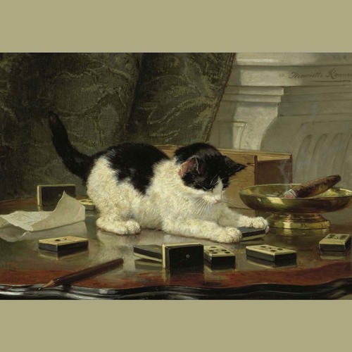 Cat kitten play henriette - cat,